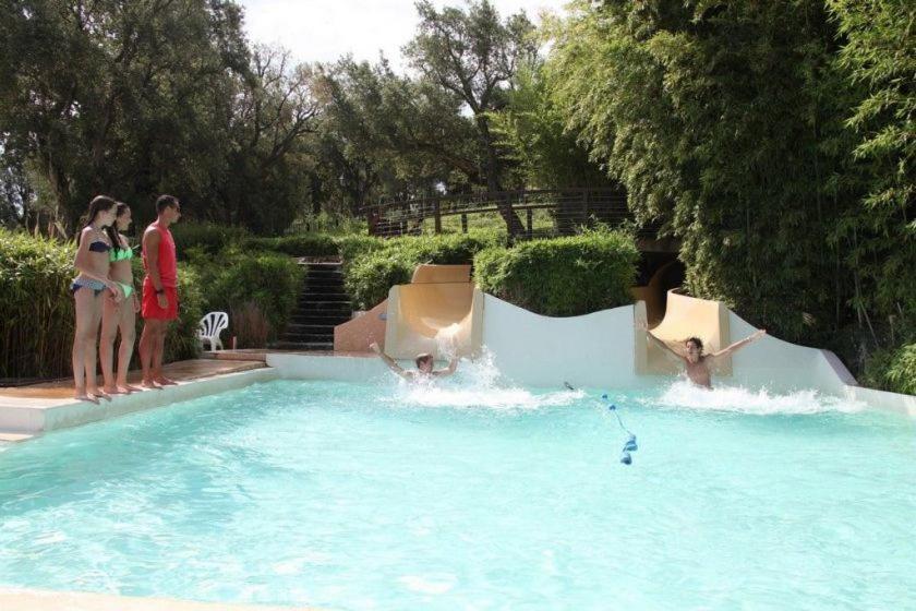 Apartment Les Restanques Roses 1274 Vue Et Golfe De St Tropez- Climatisation - Wifi *